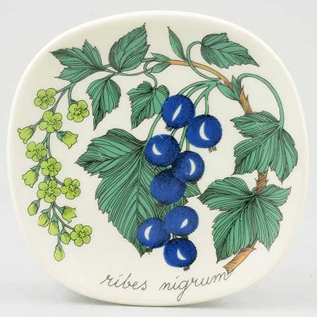 An Overview of Esteri Tomula's Botanica Series